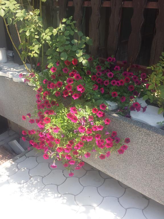 Apartment A&D Pančevo Εξωτερικό φωτογραφία